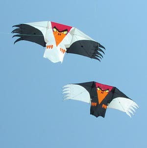 kite tail template