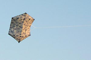 Larry & Karen Green's Kites